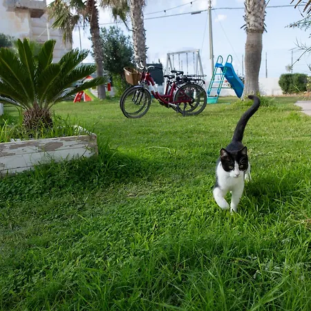 Grosse In Mit Grill Und Garten Διαμέρισμα Balestrate